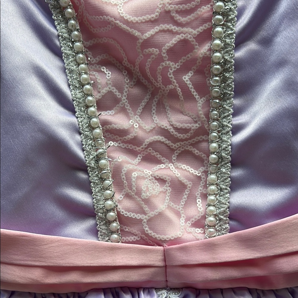 Purple and Pink Princess Dress - Princess Sophia the First - Picture 2 of 5